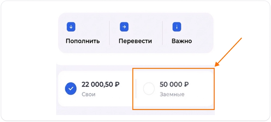 Выбор пункта Заёмные на экране приложения