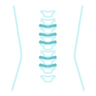 Остеохондроз позвоночника у взрослых